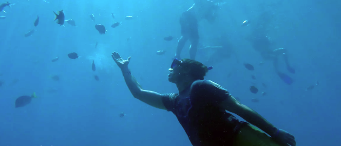 Cabo Adventures - Snorkel And Sea Adventure