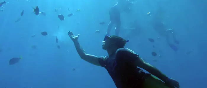 Snorkel And Sea Adventure