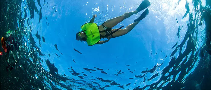 Pez Gato Snorkel Tours