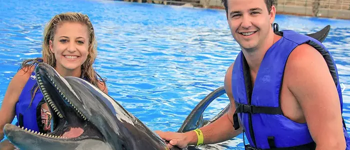 Swimming with Dolphins in Cabo San Lucas