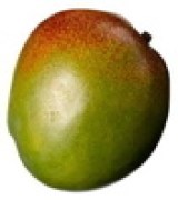 20100812014409__26622.1332813285.120.120