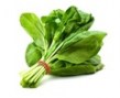 spinach__71702.1479165097.120.120