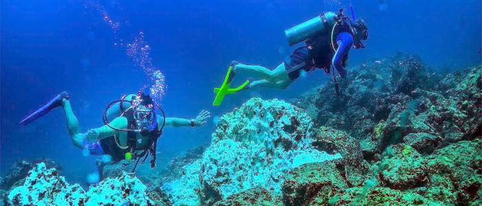 Cabo Adventures - Scuba Diving